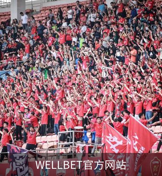 WELLBET官方网站概况